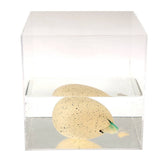 Œuf de dinosaure géant à éclore - Terre préhistorique