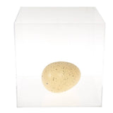 Œuf de dinosaure géant à éclore - Terre préhistorique