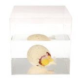 Œuf de fée géant à éclore - Fées dans le jardin