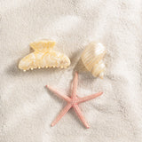 La belle pince Coquillage