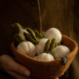 Végetaux en feutrine