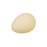 Oeuf de dinosaure à faire éclore