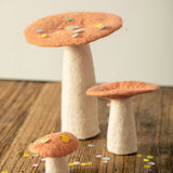 Champignons en feutre