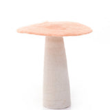 Champignons en feutre