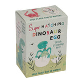 Oeuf de dinosaure à faire éclore