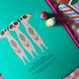 Animaux Edition Collector