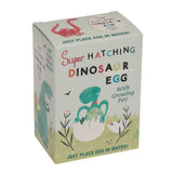 Oeuf de dinosaure à faire éclore