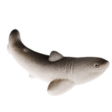 Œuf de requin géant en éclosion - Requins