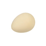 Oeuf de dinosaure à faire éclore