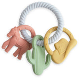 Anneau de dentition